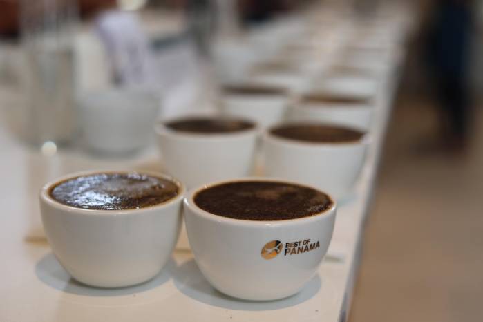 Best of Panama: Café geisha panameño alcanza $18,004 por kilo en subasta mundial