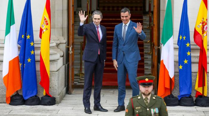 El presidente de Gobierno de España, Pedro Sánchez (der), junto al primer ministro de Irlanda, Simon Harris.
