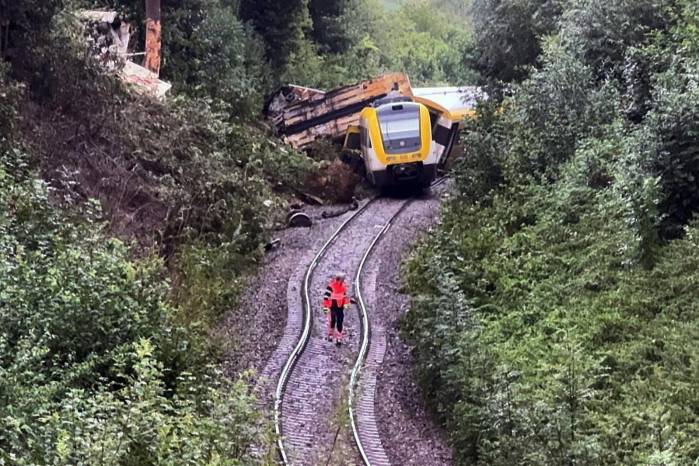 El descarrilamiento del tren se dio en un área boscosa.