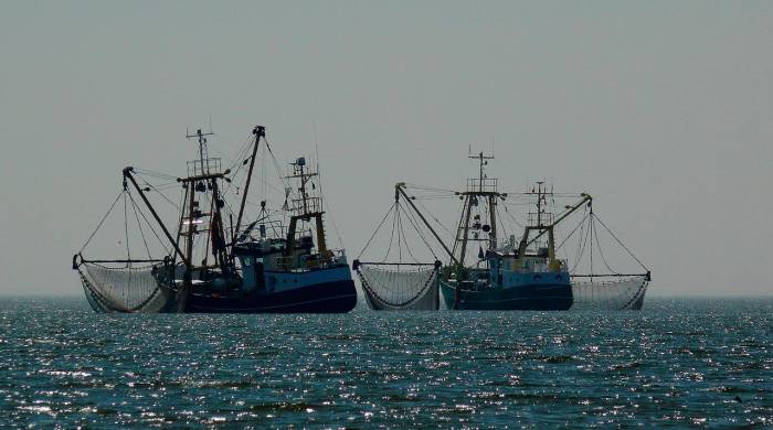 Según el estudio, la pesca es la industria oceánica con mayor actividad no pública.