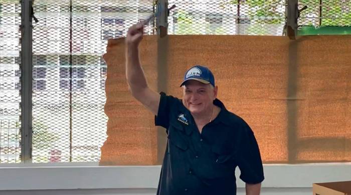 Martinelli, la Constitución y la disyuntiva del Tribunal Electoral