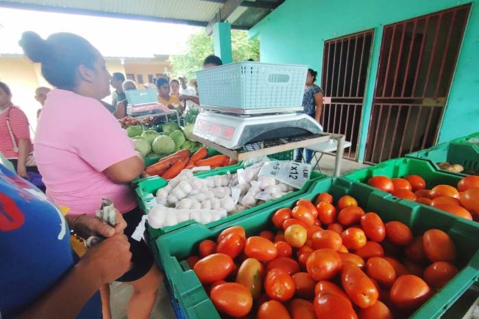 Agroferias del IMA | Conoce los lugares donde venderán arroz barato el viernes 6 de junio