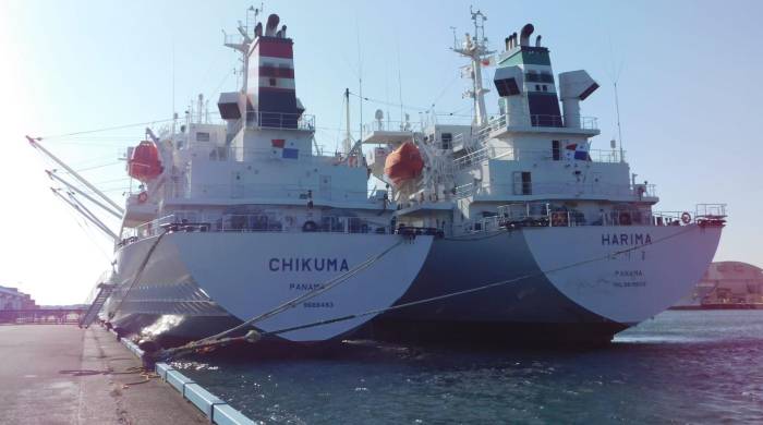 Esa inspección era para asegurarse de que existen controles efectivos en los buques.