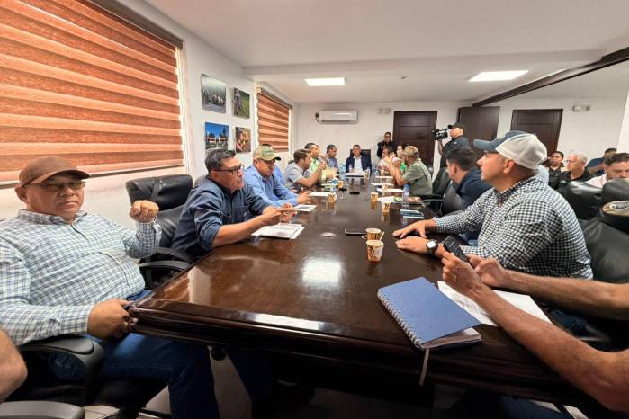 La Analmo propone importar, mientras el agro defiende la producción nacional y sostiene abastecimiento hasta octubre.