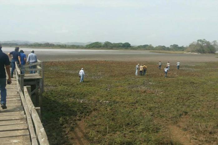 Panamá se ha “comprometido a alcanzar la neutralidad en la degradación de las tierras para 2030.