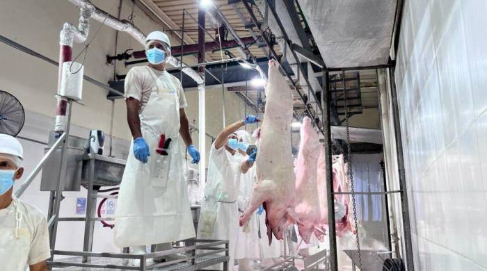 Trabajadores de la planta procesadora Ungasa. S.A. que preparan los cerdos en canal.