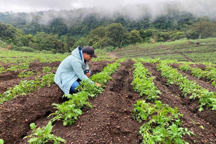 Los técnicos del MIDA y otras entidades trabajan en las áreas afectadas por las lluvias.