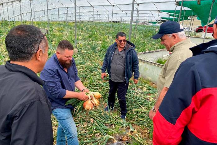 Cultivos afectados debido a las lluvias.