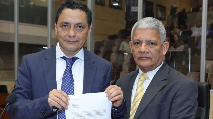 Diputado Manuel Cheng, proponente del anteproyecto de ley.
