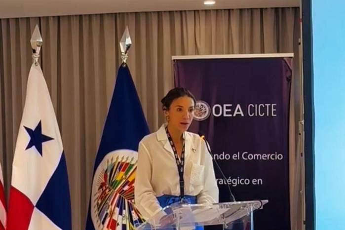 La embajadora Ana Irene Delgado lidera iniciativa regional para combatir la proliferación de armas.
