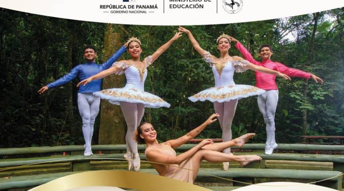 El evento es organizado por la Asociación de padres de familia de la Escuela Nacional de Danzas.