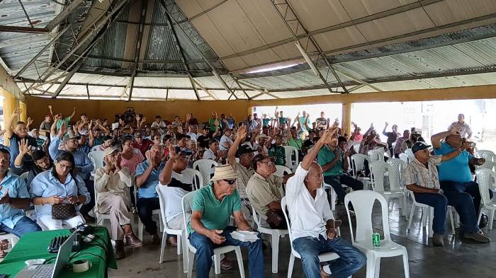 ¿Qué pasará con el arroz después del 24 de marzo? Productores en alerta