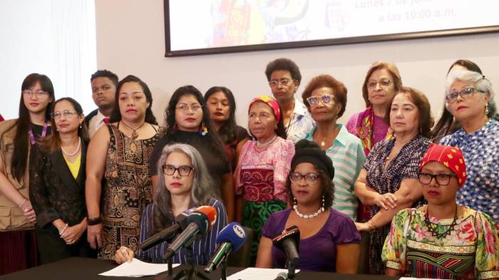 Organizaciones de mujeres entregaron una nota a la Asamblea Nacional solicitando mantener el rango ministerial del MIDEM.