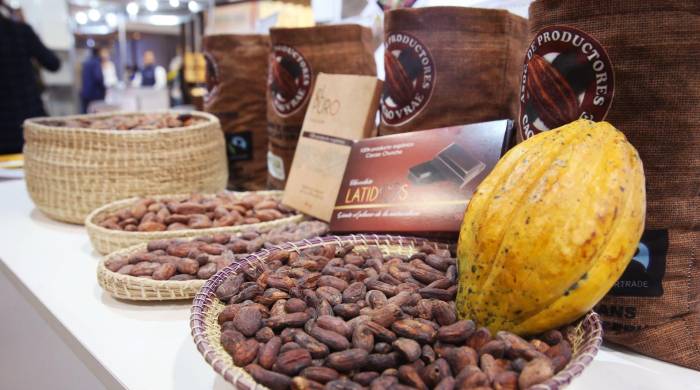 Fotografía de archivo en la que se registraron varios granos y frutos de cacao, durante la inauguración de la octava edición del Salón del Cacao y Chocolate, en el Centro de Convenciones de Lima (Perú).