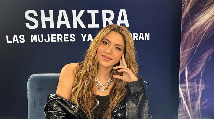 La cantante colombiana Shakira posa para EFE durante una entrevista este viernes en el Hard Rock Hotel &amp; Casino en Hollywood, en las afueras de Miami, Florida (EE.UU.). EFE/Alicia Civita