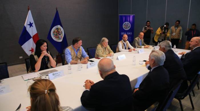 El pasado 15 de abril la OEA informó que la situación de Mulino fue notificada a su grupo de observadores.