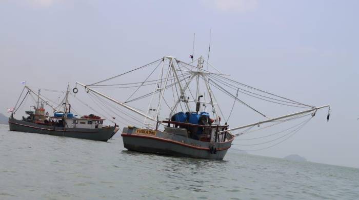 Embarcaciones salen a pescar camarones, tras el levantamiento del primer periodo de veda.