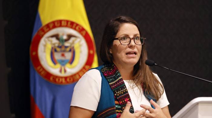 La directora para las Américas de Human Rights Watch, Juanita Goebertus, habla durante la presentación de un informe este miércoles en Bogotá.