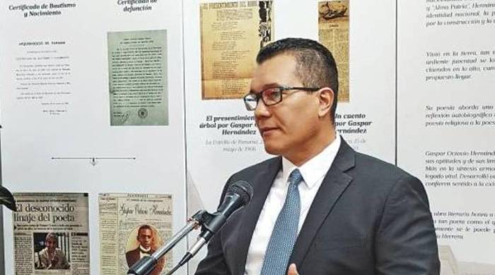 Castañeda dijo que Panay renunció por motivos personales.