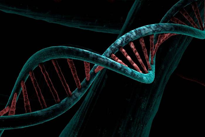 Estudio encuentra 103 nuevos genes de predisposición al cáncer