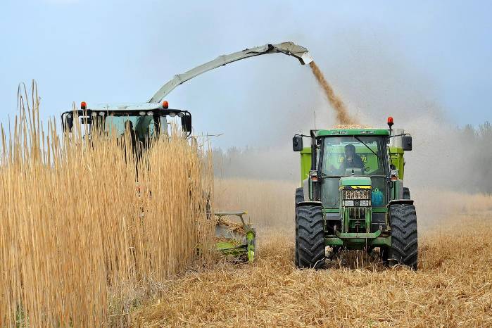 Hoy en día casi todo el bioetanol se hace a partir de almidón de maíz, caña de azúcar o sorgo.