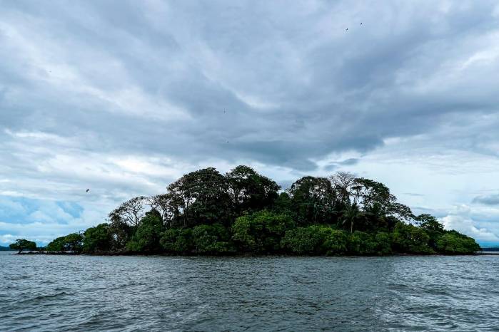 La isla Perdomo en el Golfo de Montijo es un área de descanso para las aves.