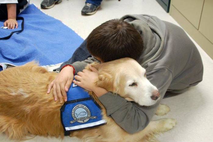 Los perros de terapia no deben confundirse con perros de servicio.