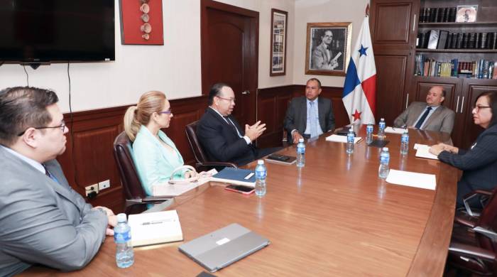 Castillo mostró interés en colaborar con el TE y “prometió” buscar los mecanismos para el intercambio y cooperación.