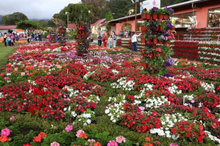Feria de las Flores y del Café en Boquete