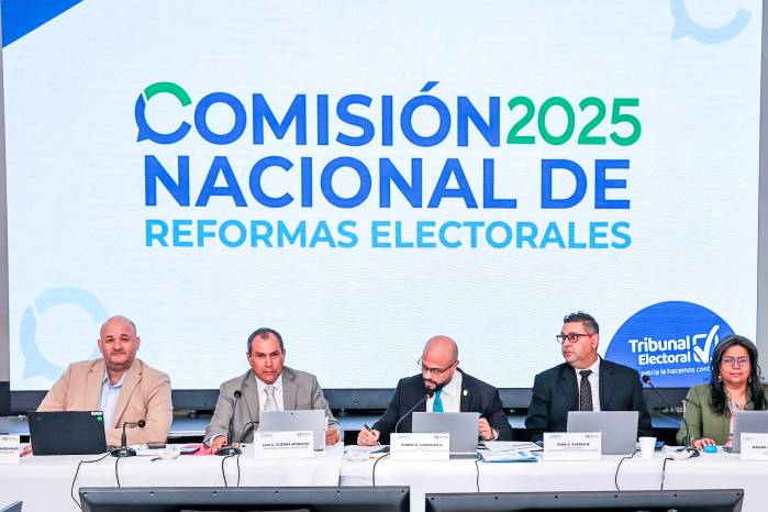 El Tribunal Electoral propuso ampliar el voto plural, pero su iniciativa fue rechazada por la mayoría partidaria.