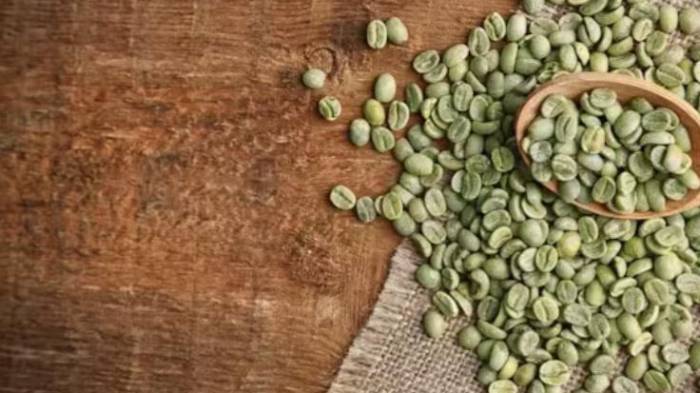 El decreto establece una fecha para importarse hasta el 30 de septiembre de 2026.