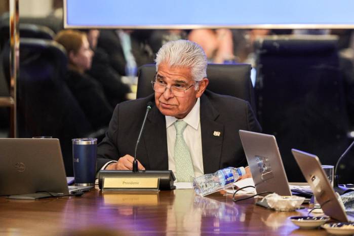 El Gobierno absorberá el subsidio al combustible, afirma Mulino