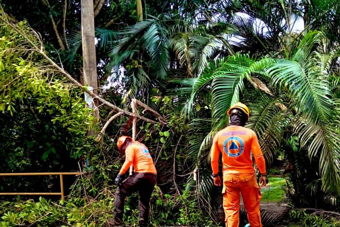 Sinaproc emite aviso de prevención por fuertes vientos en varias provincias de Panamá