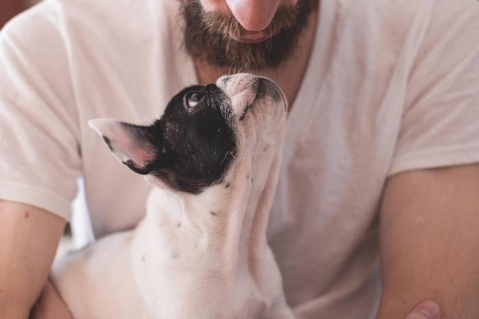 La entidad explicó que esta enfermedad afecta principalmente a los perros y puede impactar también a otros animales.
