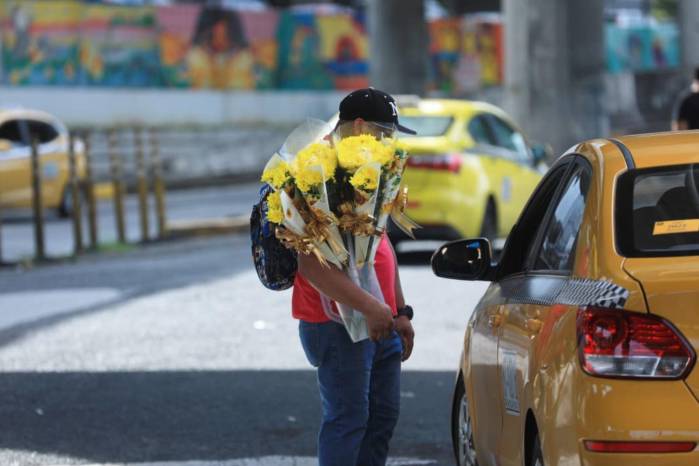 La tradición de las flores amarillas vuelve a conquistar Panamá