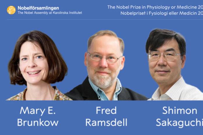 Nobel Medicina para Brunkow, Ramsdell y Sakaguchi por tolerancia inmunológica periférica.