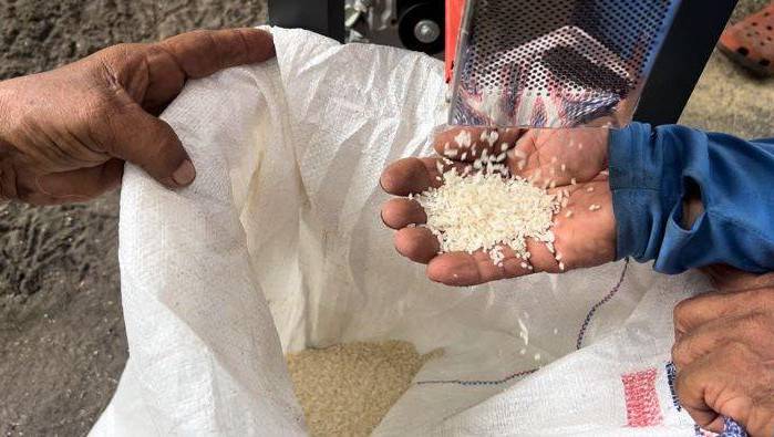 Productores cuestionan la importación.