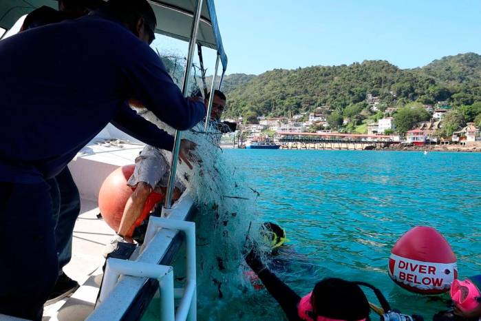 Cemex, ARAP y Audubon Americas tienen una alianza para recolectar y procesar las redes fantasma con Regenera.