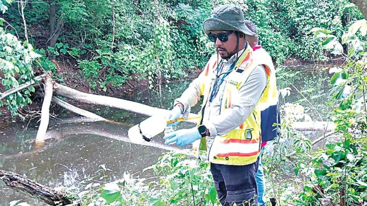 Se detectó gusanos en el río Estibaná.