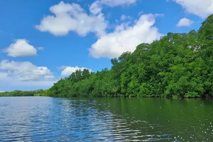 Proyecto Puerto Barú en Chiriquí presenta demanda a grupos ambientalistas por calumnia e injuria