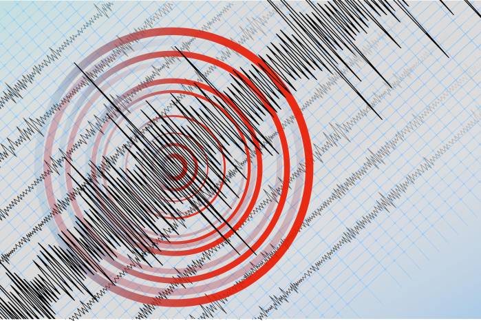 El Instituto Geofísico del Perú (IGP) informó que el terremoto tuvo una profundidad de 24 kilómetros bajo la superficie terrestre