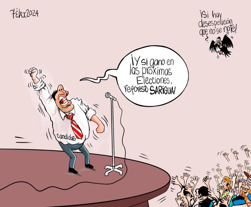 La Opinión Gráfica