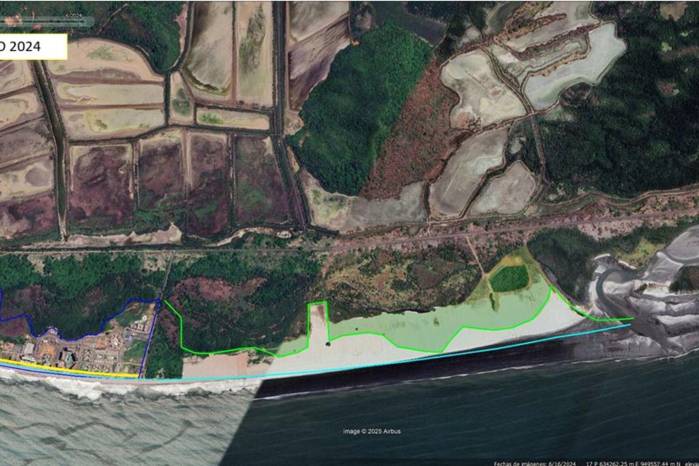 Foto de Google Earth en la cual se señaliza las áreas devastadas hasta junio del año pasado.