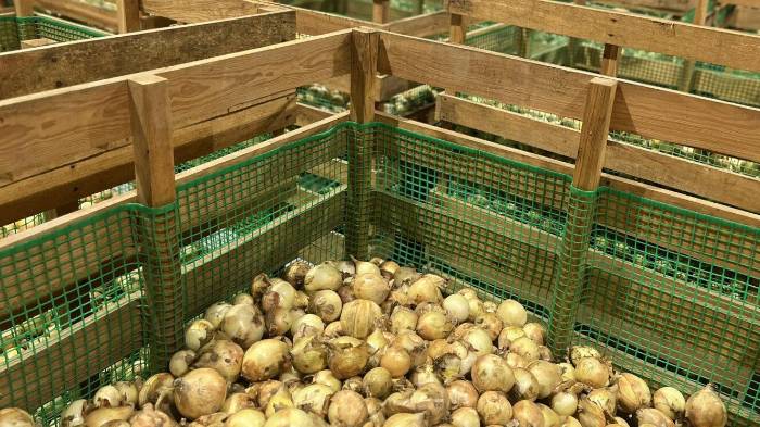 Gobierno intervendrá para garantizar que los agricultores puedan comercializar su producción.