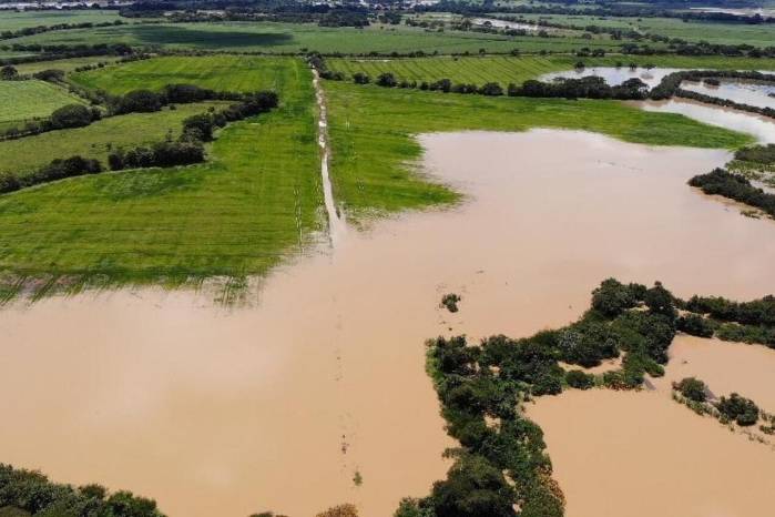 Las lluvias registradas en el país causaron grandes pérdidas en los cultivos sembrados.