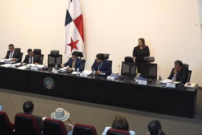 La subcomisión estuvo presidida por la diputada Grace Hernández.