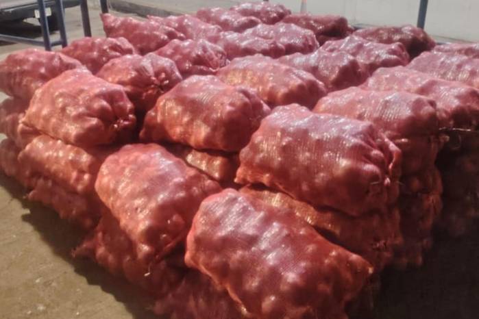 Las cebollas, junto con un vehículo usado presuntamente para su transporte, fueron trasladadas a la sede regional de ANA.