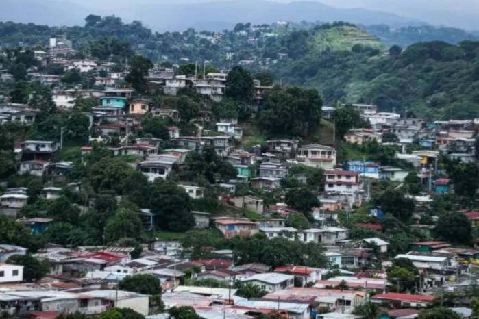 La licitación comprende todas las fases del proyecto.