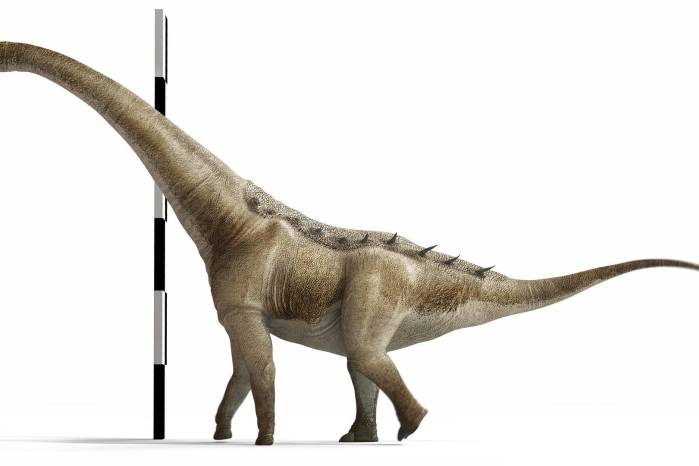 Reconstrucción de la forma de vida de Qunkasaura pintiquiniestra.