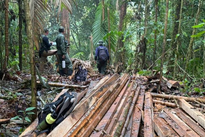Tras el hallazgo, se coordinó la notificación a la Dirección de Investigación Judicial y a los guardaparques.
